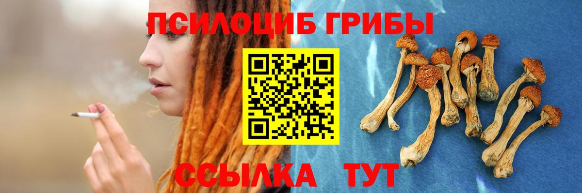 купить наркоту  Псилоцибиновые грибы GOLDEN TEACHER  Вход с VPN  Морозовск 